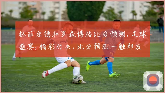 林菲尔德和罗森博格比分预测,足球盛宴,精彩对决,比分预测一触即发,敬请期待