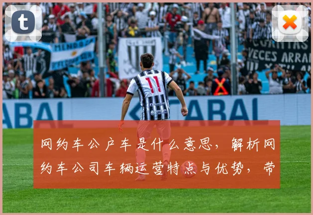 网约车公户车是什么意思，解析网约车公司车辆运营特点与优势，带你深入了解。
