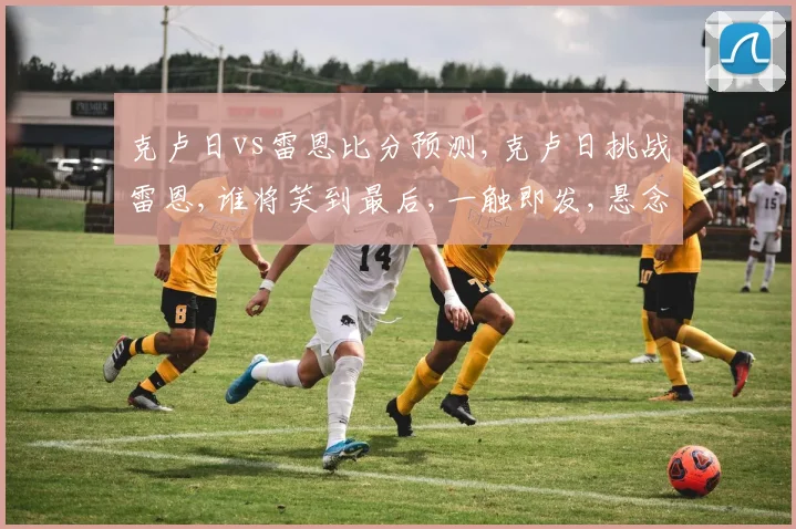 克卢日vs雷恩比分预测,克卢日挑战雷恩,谁将笑到最后,一触即发,悬念重重